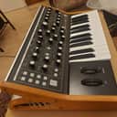 Moog Subsequent 25 Analog Synth 2020 - Present - Black