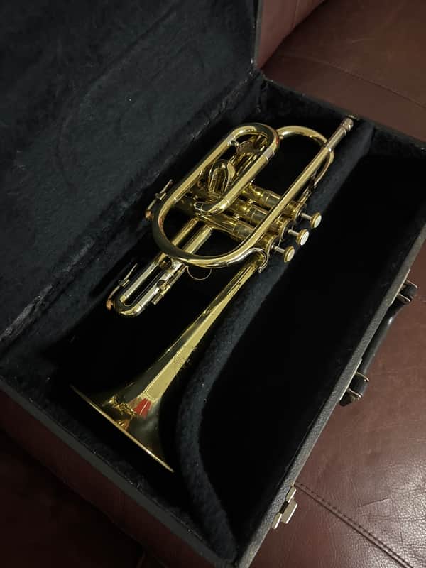 Holton Collegiate C-602 Bb cornet (1966) SN 424848 image 1