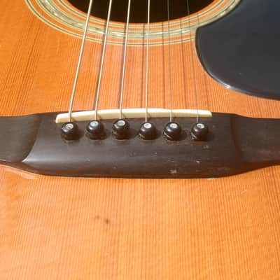 1975 Yairi YW-600 Dreadnought Guitar New Jacaranda Natural+Hard Case image 19