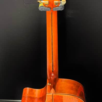 Gorgeous Xaviere RTS750-SCE 2018 Spruce Top/Spalted Maple image 2
