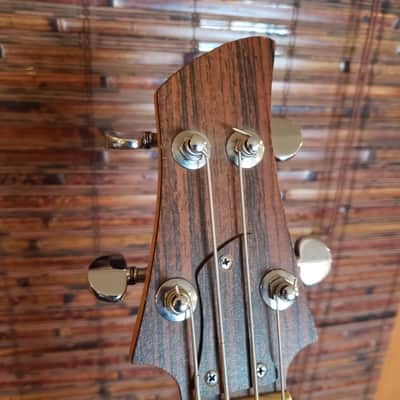 Vintage 70's Dan Armstrong Ampeg Clear Acrylic Bass -ADA6 image 6