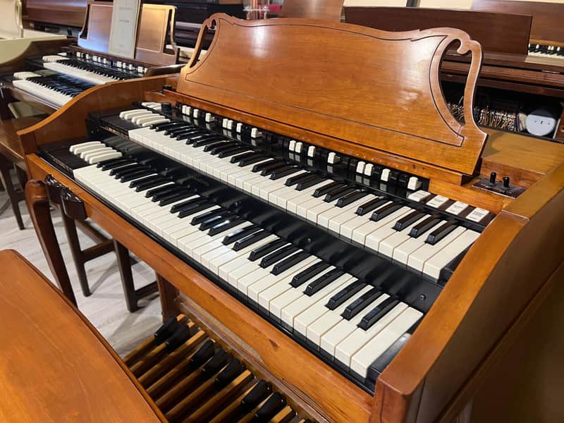 Immagine Hammond A102 - 1