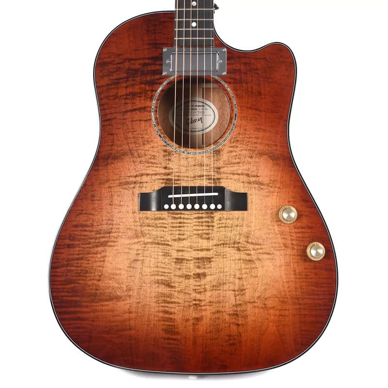 Gibson Montana J-45 Humbucker 2019 image 2