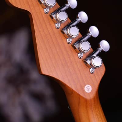 Dhatarattha HSS Strat-Style – Black Nitro Relic image 8