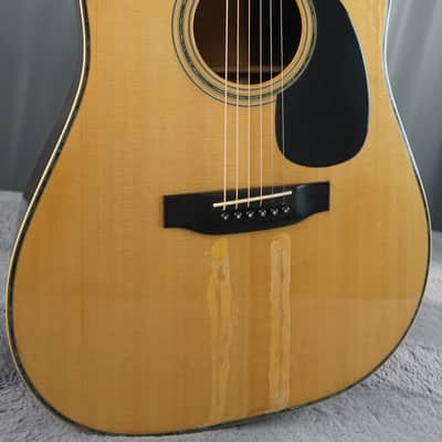 Morris 50 Special Japan Dreadnought w/ Hard Case image 1