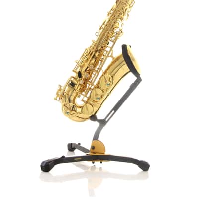Yanagisawa AWO1 Professional Alto Saxophone - Gold Lacquer image 1