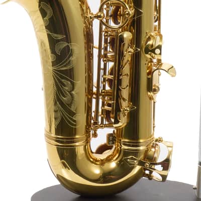 Eastman Model EAS650 'Rue Saint-Georges' Alto Saxophone SN A2440458 RENEWED image 13