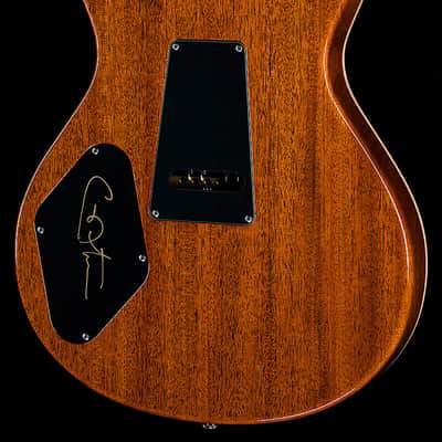 PRS Private Stock 6450 McCarty Singlecut 24-Fret Gold Leaf Guitar of the Month image 2