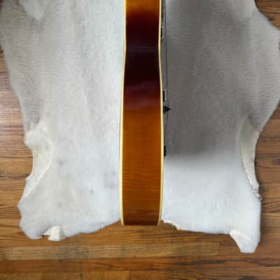 Silvetone 1425 50s/60s - Sunburst image 7