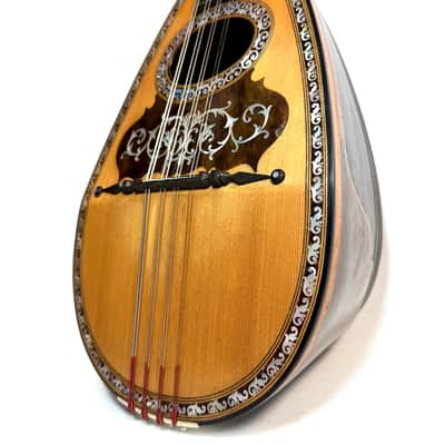 Stridente Neapolitan Mandolin Decorated Curved Ribs 1900's image 3