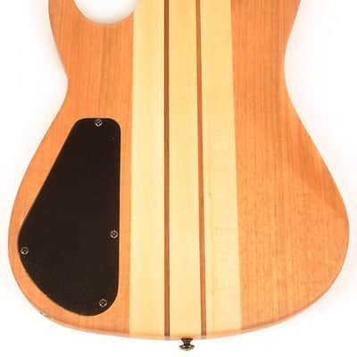 Agile 10 String Fan Fret Multi-Scale Elec Guitar Kahler Bridge Pendulum Elite 102730 EB CP Nat Mah image 3