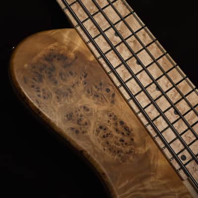 Fodera Imperial 5 Elite Poplar Burl End-2023 (10.5 lbs) image 5