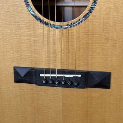 Tasman Guitars TA300 E  Dreadnought w/ Fishman Presys Plus  Natural( ALL SOLID) image 5