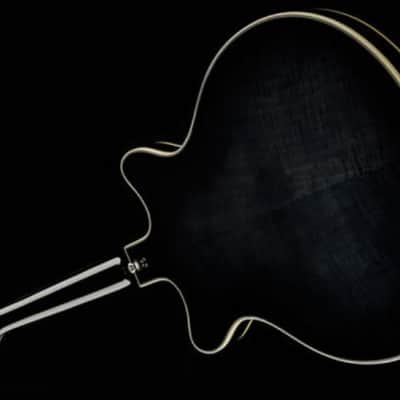 Duesenberg Alliance Series Joe Walsh - Black(Pre-Order) image 8