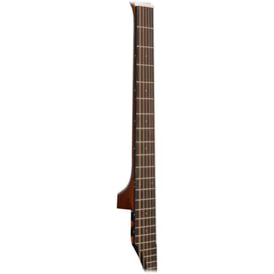 Ovation CE4412-5 Celebrity Collection Elite Specialty Mid Depth 12-String Acoustic-Electric Guitar image 13