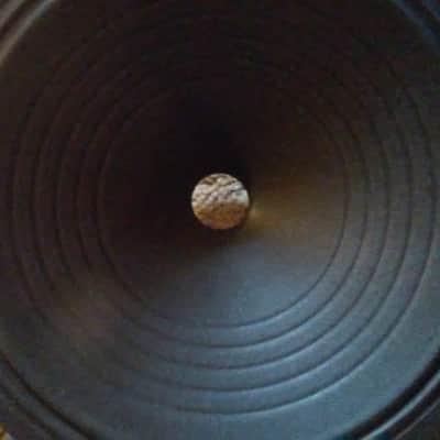 Celestion Speaker Cones TWO Pack 10" OEM parts! 10" Diameter 1" Voice coil recone Re-Cone Parts image 2