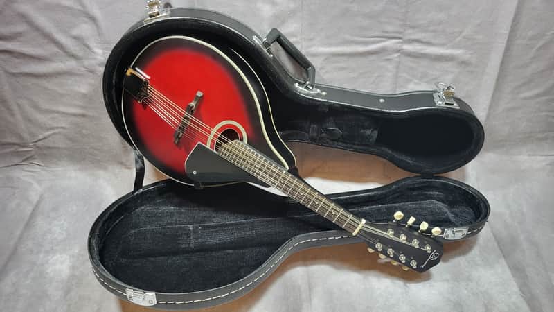 Beautiful Bluegrass Mandolin – Excellent Condition & Powerful Tone image 1
