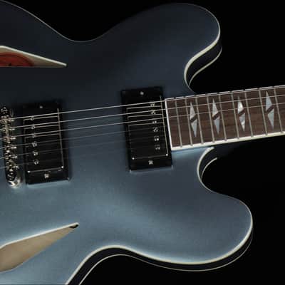 Epiphone Dave Grohl DG-335 (#621) image 3