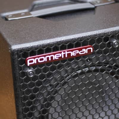 Ibanez Promethean P110C Bass Cab image 3