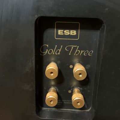 ESB GOLD THREE ESP COPPIA CASSE ESB GOLD THREE - Wood image 14