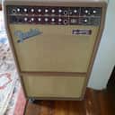 Fender Acoustasonic SFX 2-Channel 2 x 80-Watt 1x8" / 1x10" Acoustic Guitar Amplifier 1999 - 2003