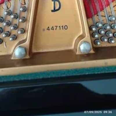 Steinway & Sons grand piano a queue de concert model Model D-274 n°447110 1976 image 4