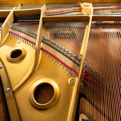 Young Chang G157 Grand Piano | Polished Mahogany | SN: 814472 | Used image 5
