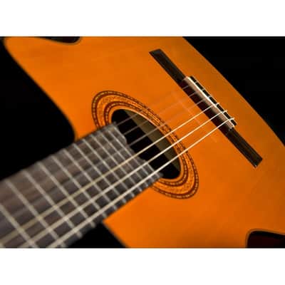 Washburn Classical Series C5CE Classical Acoustic Electric Guitar with Natural Finish image 4