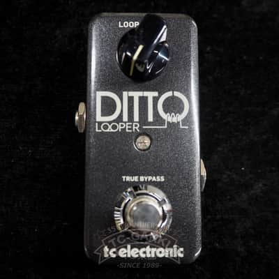 t.c. electronic DITTO LOOPER image 4
