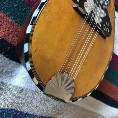 Fancy Bowlback Mandolin, Early 20th Century, Excellent Condition image 5