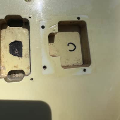 Charvel Model 5 HH image 10