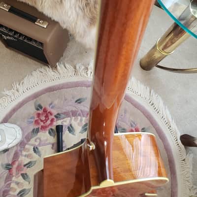 Breedlove C25/MH - Concert | Figured Mahogany & Sitka Spruce | Signed Steve Henderson image 9