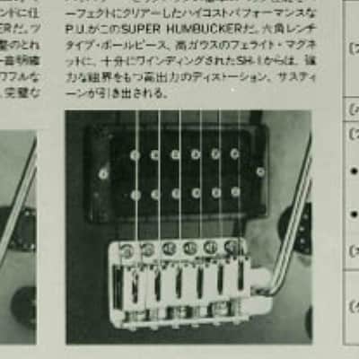 Immagine Fernandes BSV-55 1984 - 15