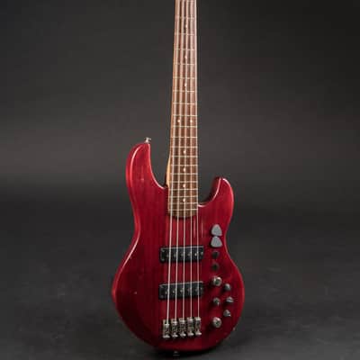 Alien Audio PP 5-String w/HSC image 2