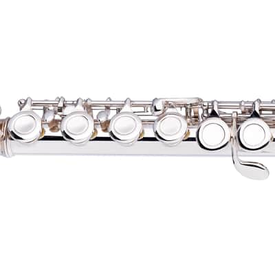 Stagg WS-FL111 C Flute Closed Holes Offset G Split E w/Soft Case, Cleaning Swab, Cloth & Gloves image 7