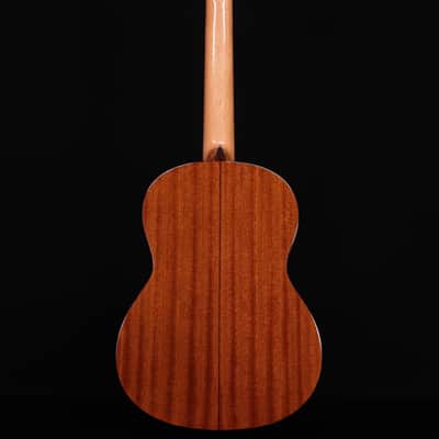 Cordoba C5 with Spruce Top image 7