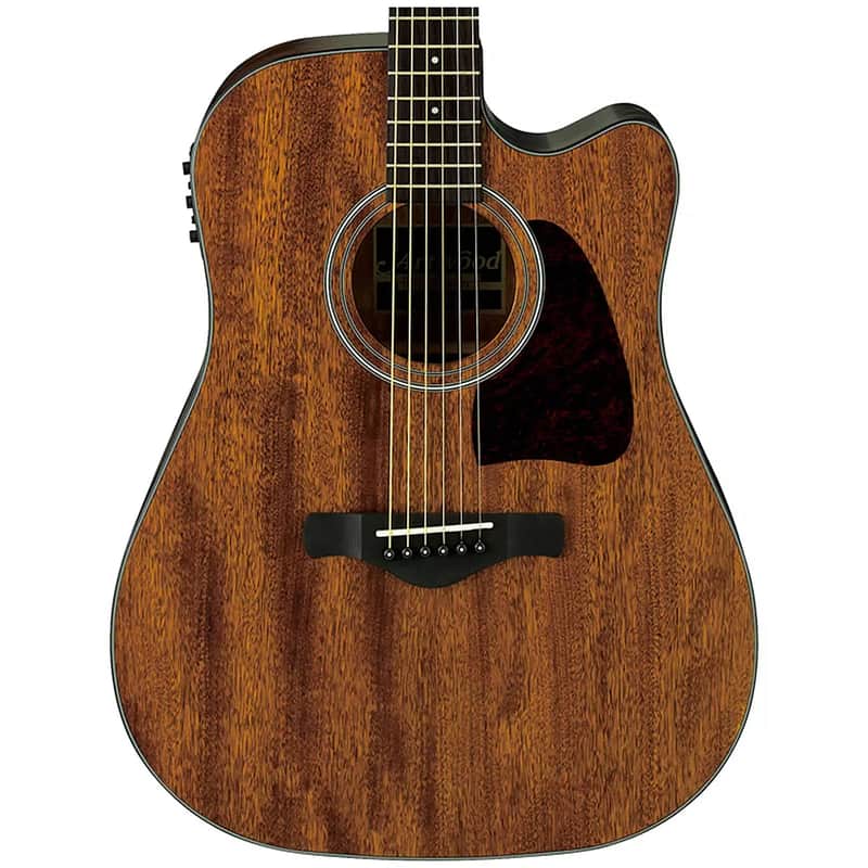 Ibanez AW54CE Artwood image 2