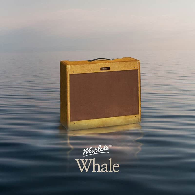Westloke Amps Whale 35W Tweed image 1