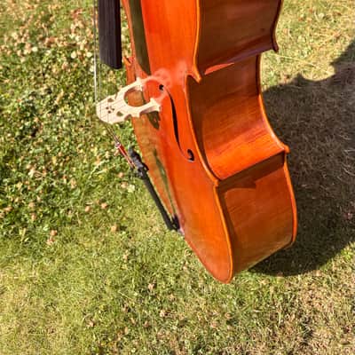 Westbury Eastman cello 4/4 - Hand varnish image 9