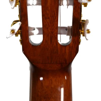 Ibanez GA6CE-AM Classical Cutaway Nylon String Acoustic Guitar 2026 - Natural Gloss Finish image 4