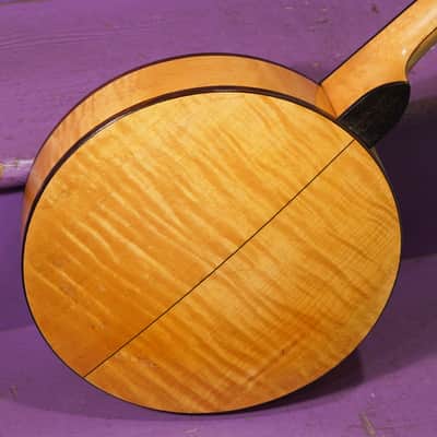 1920s Vega William Schmick Lyric Resonator Tenor Banjo (VIDEO! Fresh Work, Ready) image 8