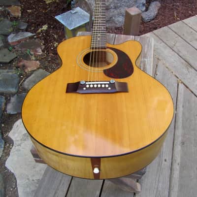 Harptone S-6NC Sultan guitar Sam Koontz vintage 1960s 1970s Vintage arched back cutaway image 15