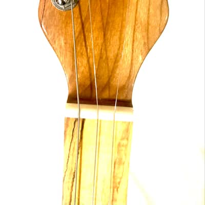 3 string Turtle shell slide guitar image 9