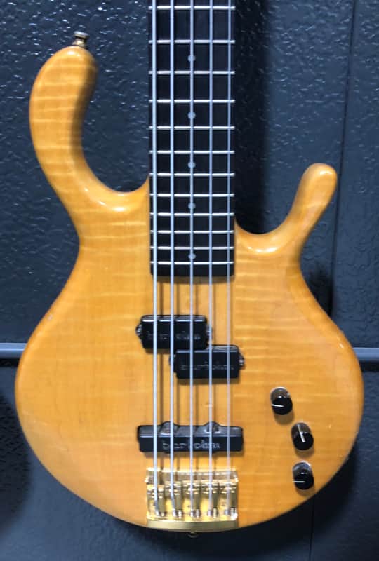 Pedulla  MVP Flame Maple image 1
