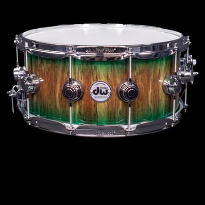 DW 6.5x14 Turquoise Green Burst over Tigerwood Exotic Snare Drum, Chrome Hardware image 2