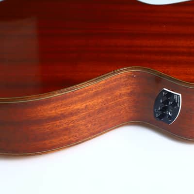 Schertler SM Acoustic Guitar – A Rare Gem in Electro-Acoustic Innovation - check video! image 16
