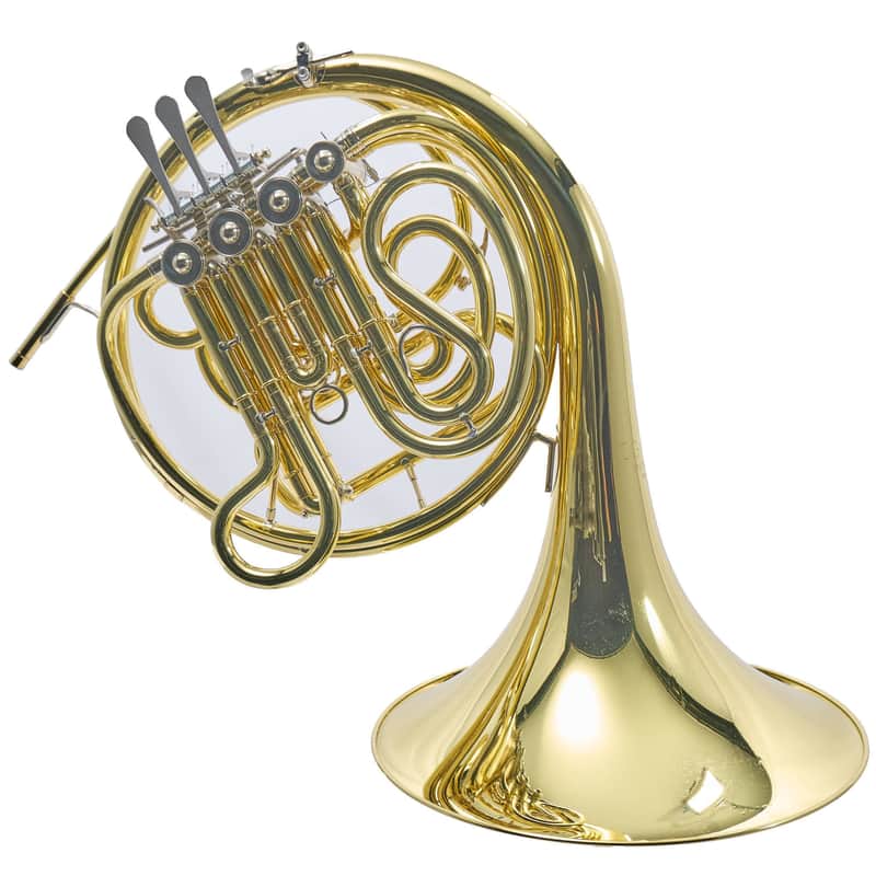 C.G. Conn 10DY Professional Geyer Wrap French Horn SN 657597 image 1