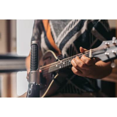 AEA N22 Ribbon Microphone (Phantom-Powered) image 12