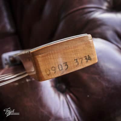 Fender Stratocaster Hardtail Black 1974 image 9
