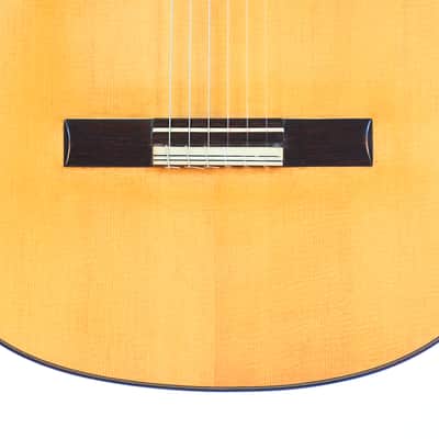 Jose Salinas 2019 "Negra" Flamenco Guitar - Exceptionally good sounding Guitar – Powerful & Expressive - Check Video! image 4